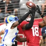 los angeles rams vs arizona cardinals match player stats