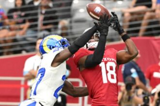 los angeles rams vs arizona cardinals match player stats
