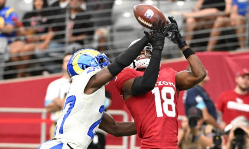 los angeles rams vs arizona cardinals match player stats